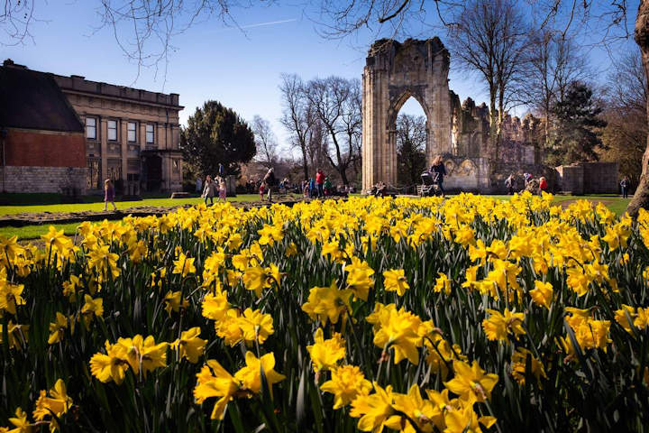 St Mary's Abbey ruins, York